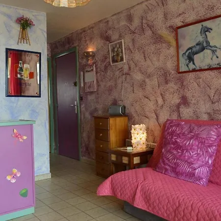 Appartement Appt 2 Pieces 4 Couchages Cap D'agde Ct450-018